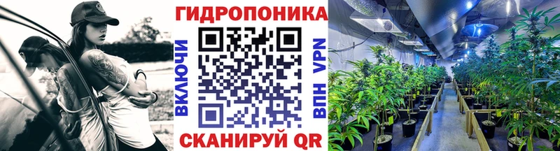 Марихуана ГИДРОПОН  Гусиноозёрск 